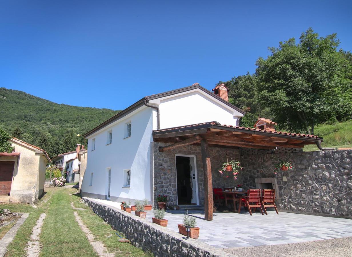 Guest House 'Villa Fani' Veprinac With Jacuzzi Buitenkant foto
