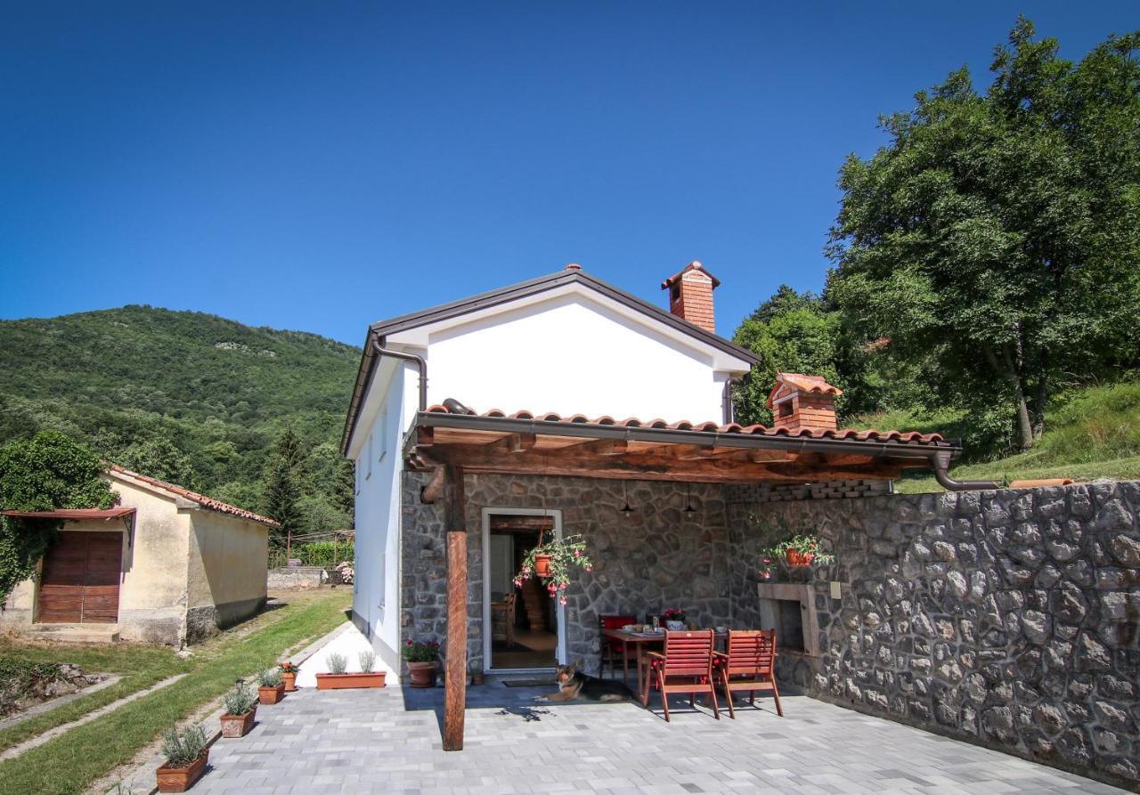 Guest House 'Villa Fani' Veprinac With Jacuzzi Buitenkant foto