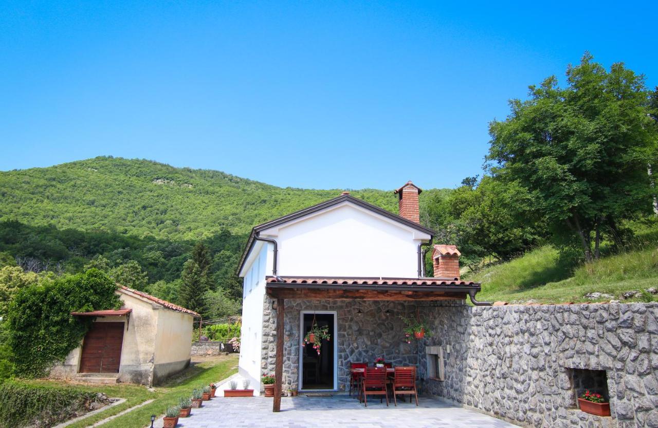 Guest House 'Villa Fani' Veprinac With Jacuzzi Buitenkant foto