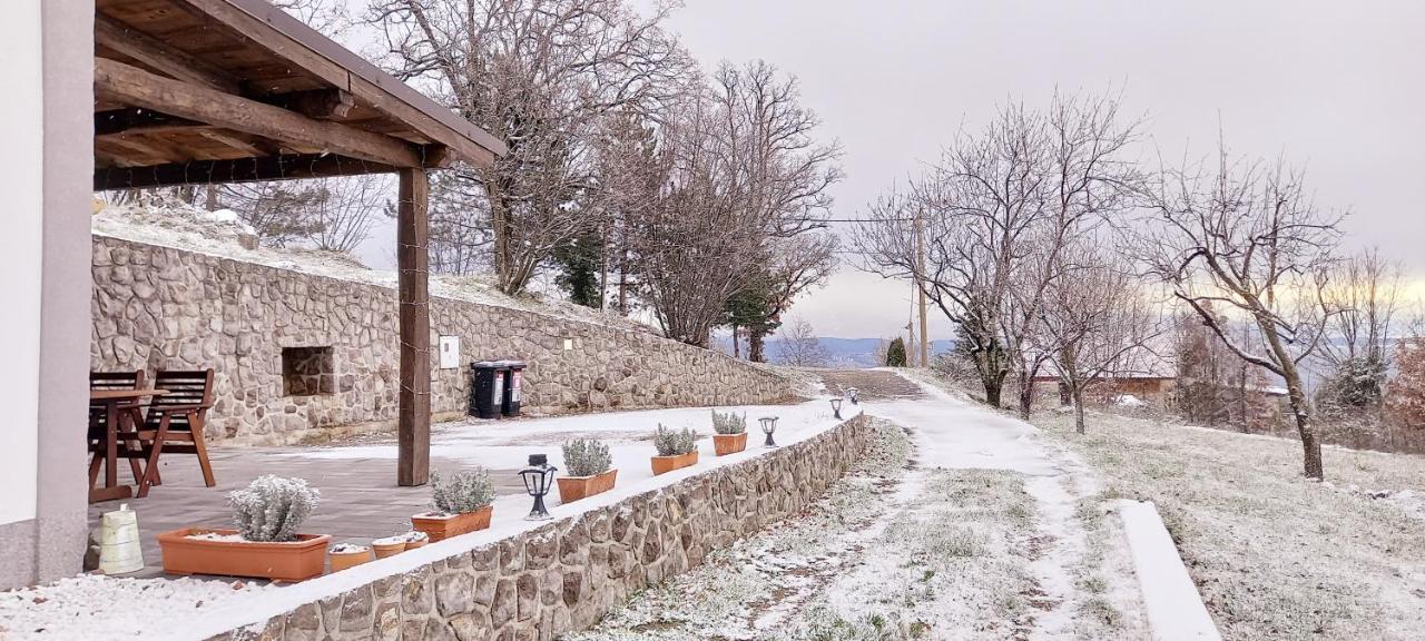 Guest House 'Villa Fani' Veprinac With Jacuzzi Buitenkant foto